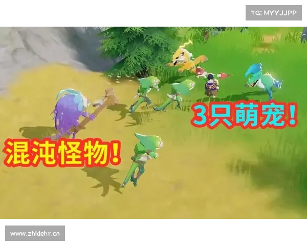 海岛纪元:探秘宠物技能之道 海岛纪元:探秘宠物技能之道